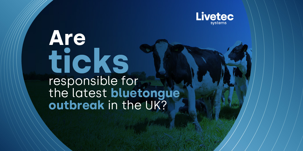 Are ticks responsible for bluetongue blog image