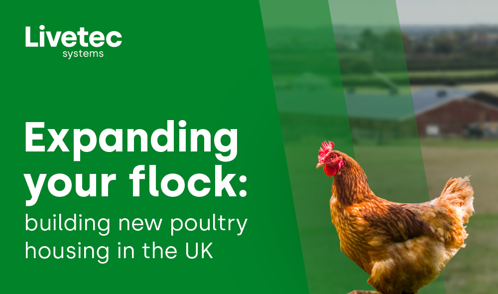 Expanding your flock: building new poultry housing in the UK