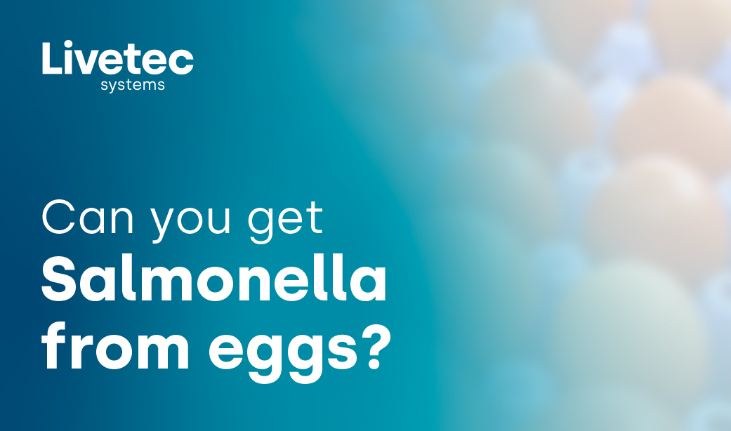 Can you get Salmonella from eggs?