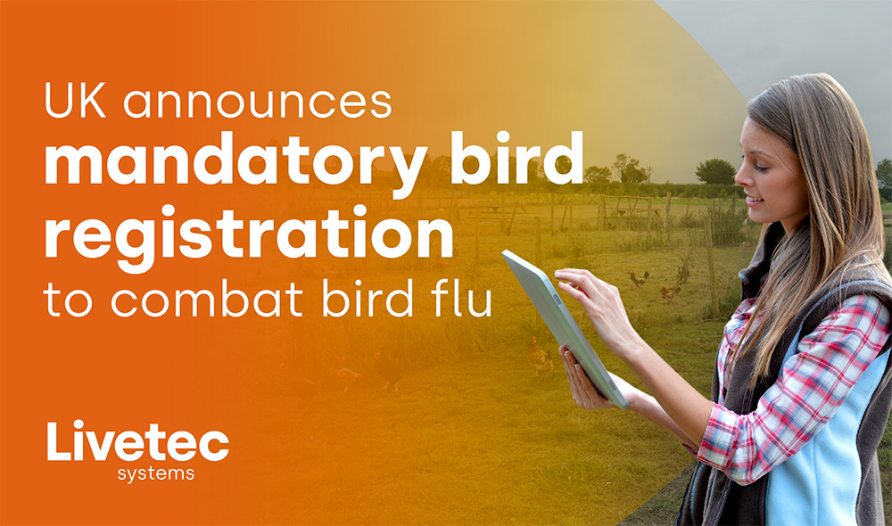 UK announces mandatory bird registration to combat bird flu
