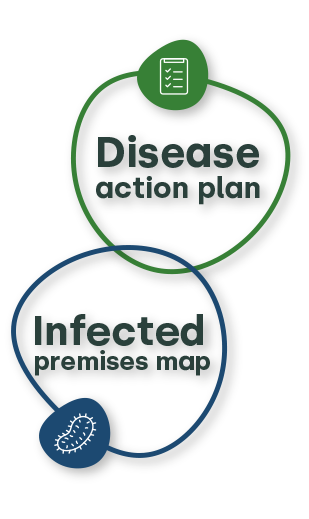 Disease action plan and infected premises map graphic