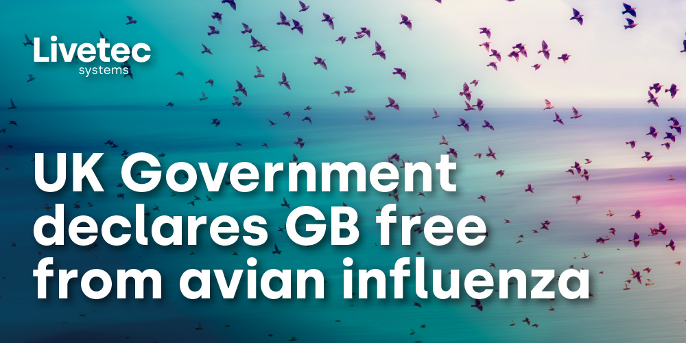 UK Government declares GB free from avian influenza