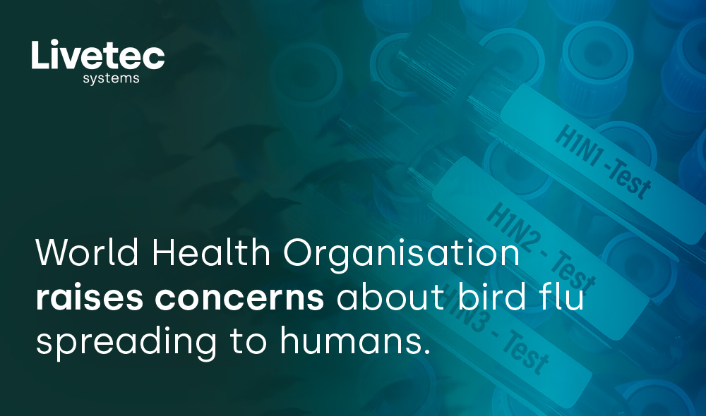 World Health Organisation raises concerns about bird flu spreading to humans