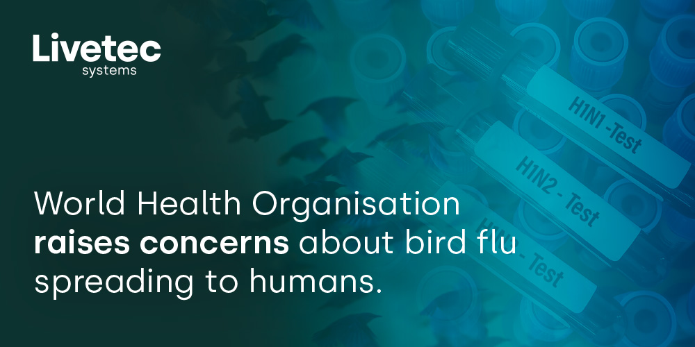 The World Health Organisation are concerned that bird flu could be infecting the human population
