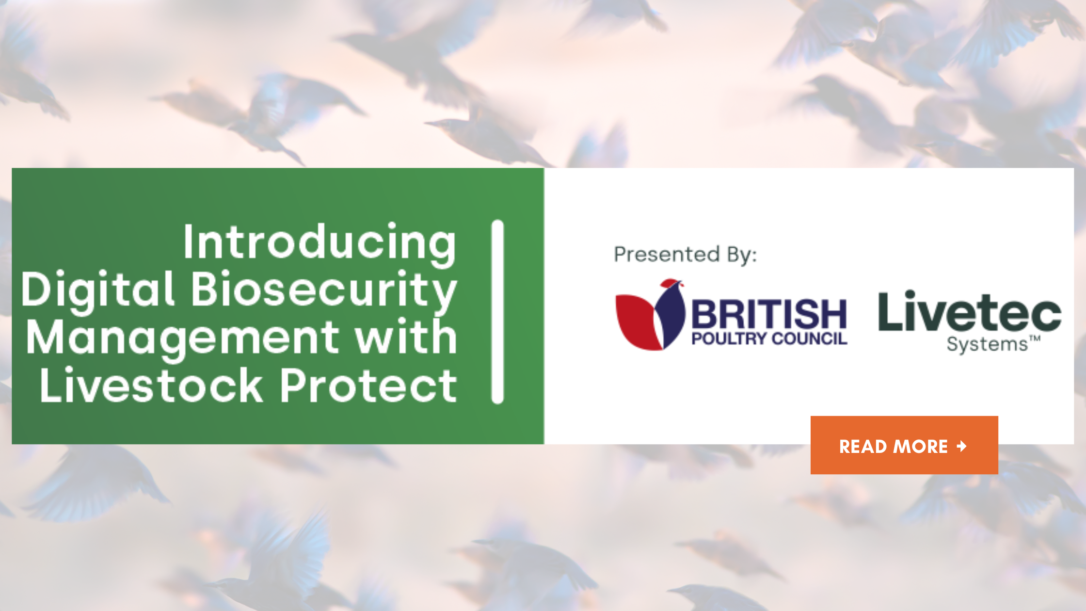 Livetec & the British Poultry Council Webinar: How Livestock Protect is Redefining Poultry Biosecurity