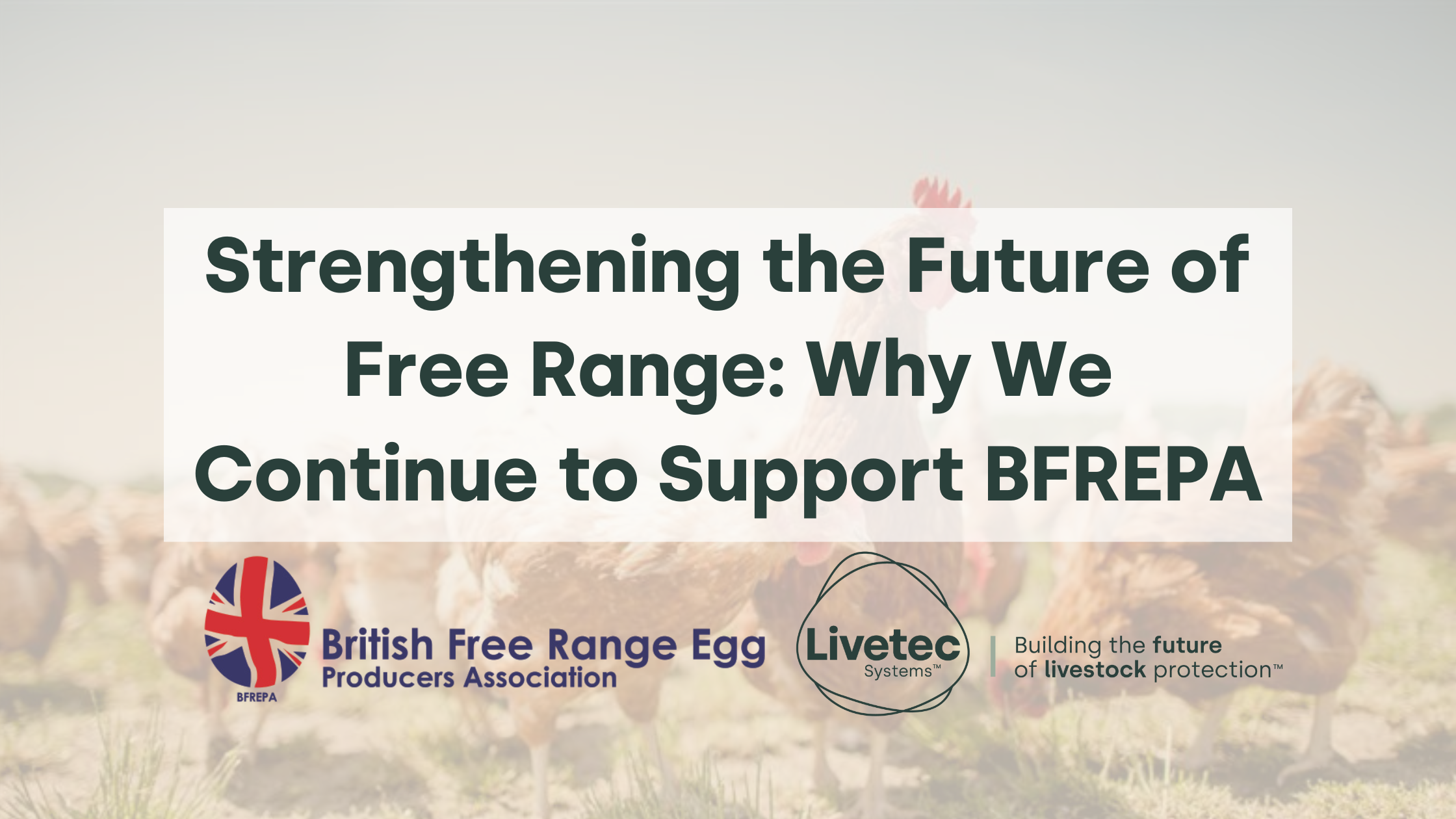 Strengthening the Future of Free Range: Why We Continue to Support BFREPA