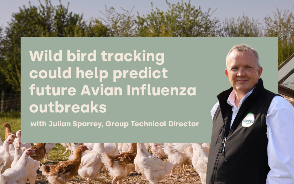 Wild bird tracking could help predict future Avian Influenza outbreaks