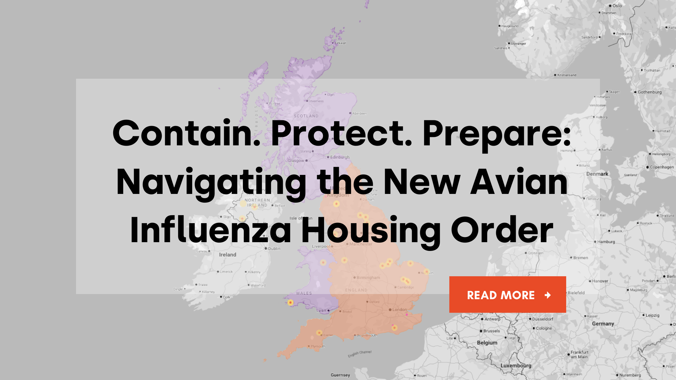 Contain. Protect. Prepare: Navigating the New Avian Influenza Housing Order
