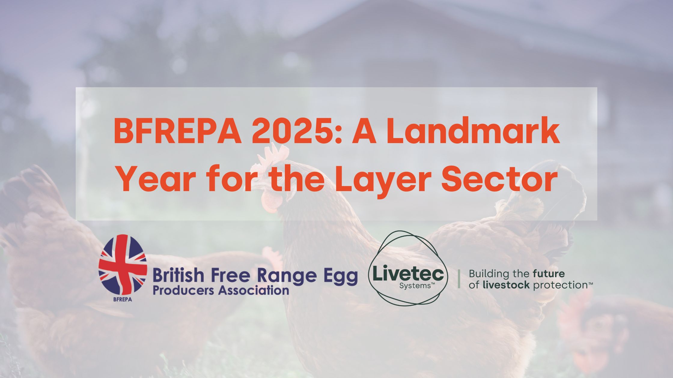 BFREPA 2025: A Landmark Year for the Layer Sector