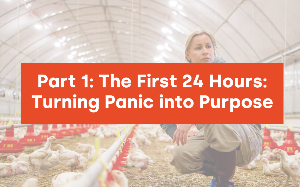 Part 1: The First 24 Hours: Turning Panic into Purpose