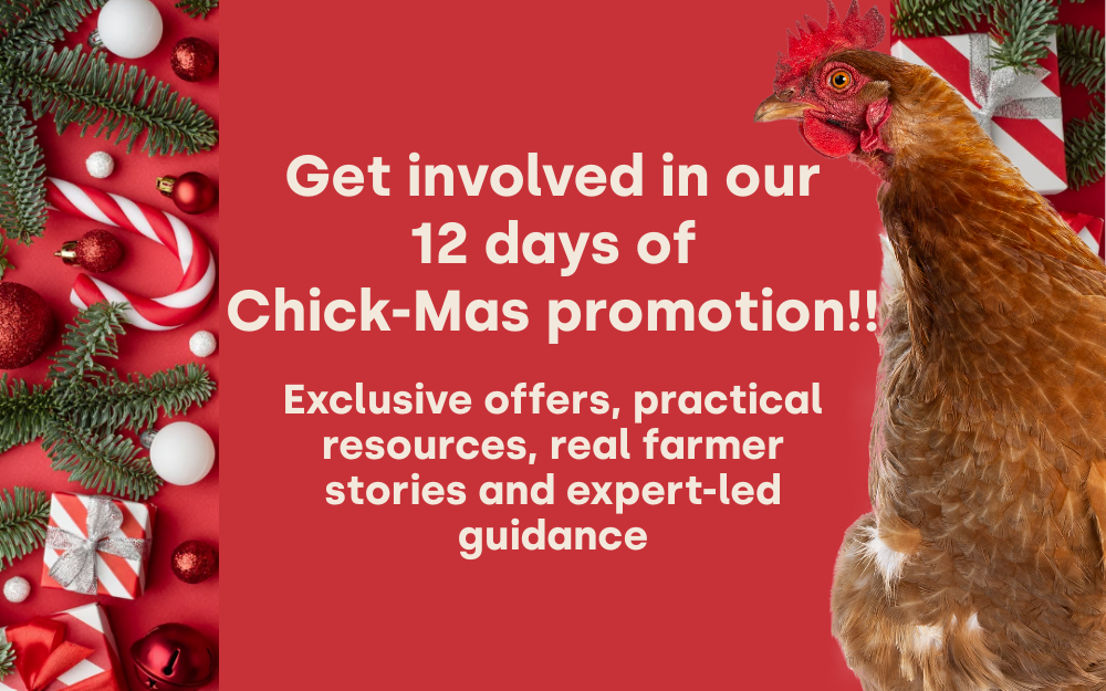 12 Days of Chick-mas: Your Festive Countdown