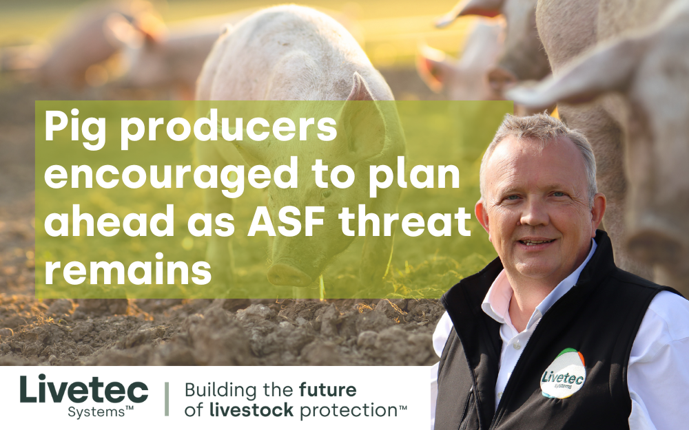 Pig producers encouraged to plan ahead as ASF threat remains