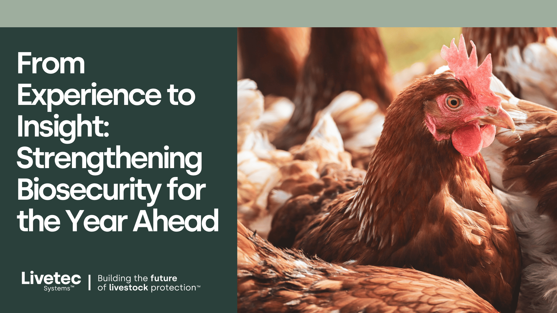 From Experience to Insight: Strengthening Biosecurity for the Year Ahead
