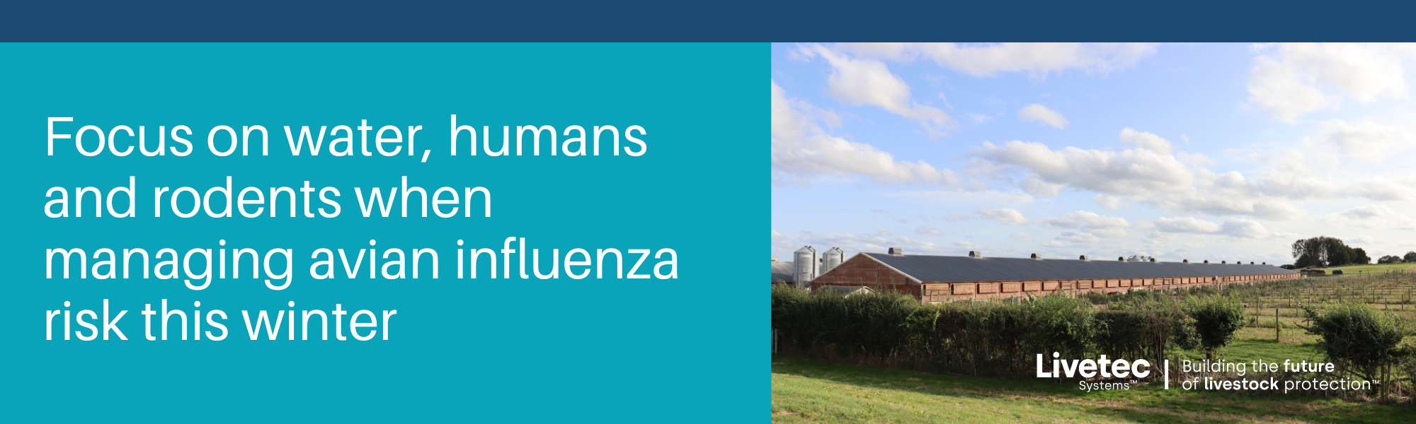 Focus on water, humans and rodents when managing avian influenza risk this winter