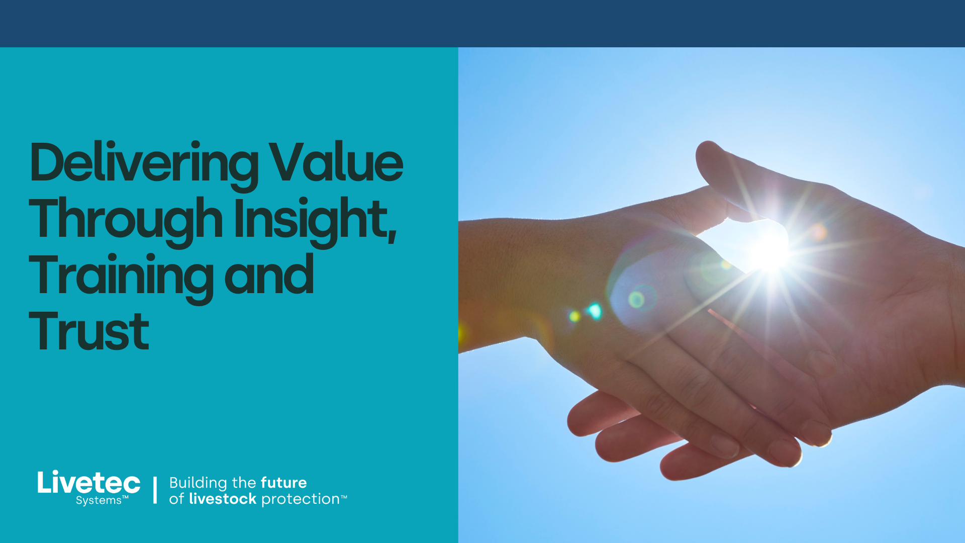Delivering Value Through Insight, Training and Trust