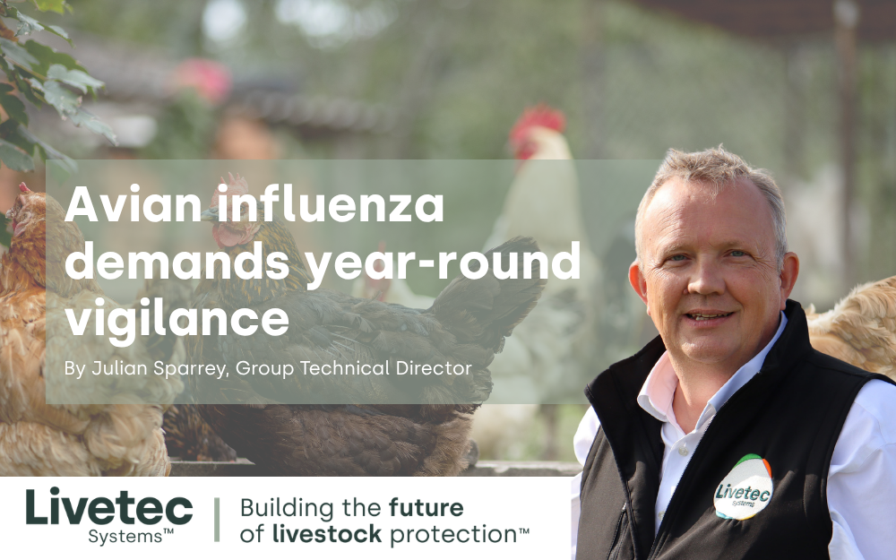 Avian influenza demands year-round vigilance